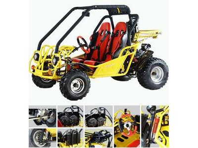 150cc 200cc 175cc 110cc KIDS AND ADULTS