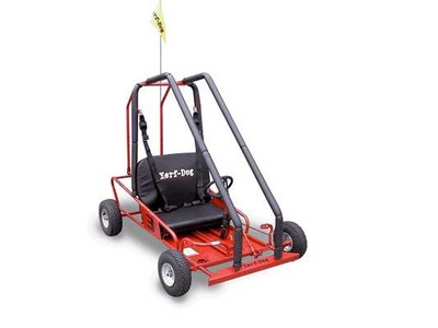 2006 Yerfdog gokart