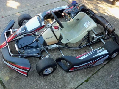 2011 Arrow Warrior kart W/ Briggs lo206