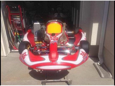 Birel 125cc Rotax Max Senior Race Kart