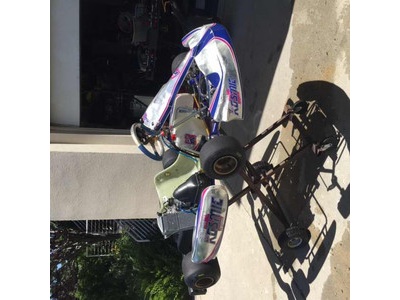 2013 Kosmic Mercury / Rotax Senior 125cc