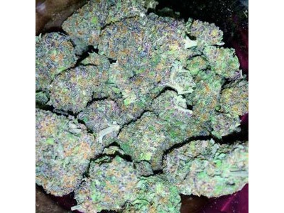 buy now at http://kushorchard.com/ 