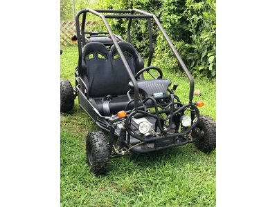 110 GKG-2 Go Kart