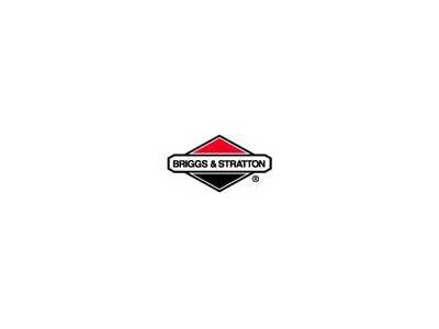 5HP Briggs Parts