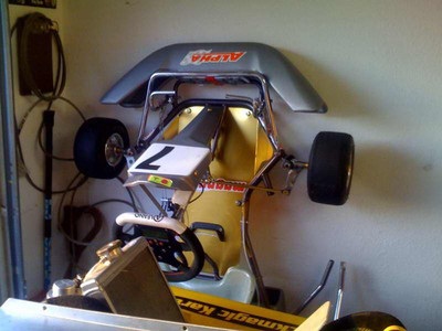 Alpha Kart with Waltjer KT100, $1650