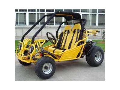 Go Kart 150cc 2 seater Raptor