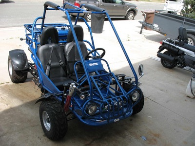 2006 Off-Road Go Cart (250cc)