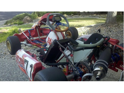2008 Birel 125 TAG Kart W/ Carbon Fiber