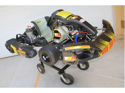 2009 MMK Avanti TAG Kart w/PRD Fireball 