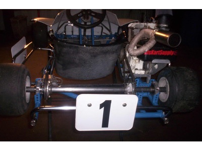 Dino Kart with Briggs Flathead For Sale