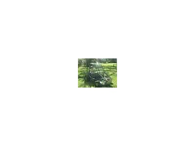 MANCO  DINGO 10 HP 2 SEATER GO KART 