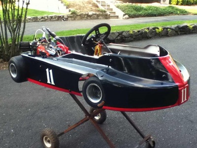 Briggs animal sprint track gokart